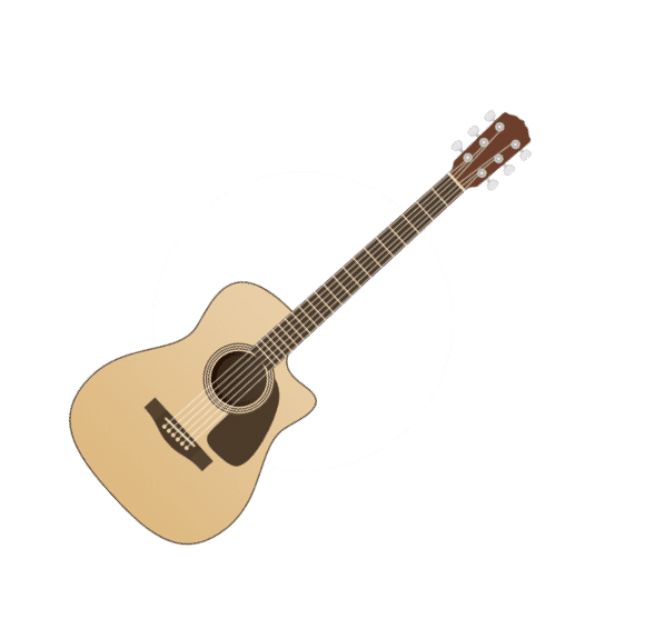 Steel string Acoustic guitar 