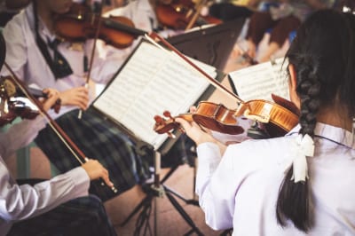 They Gave Up Trying To Force Me To Practice... Now, I'm a Professional Musician They Gave Up Trying To Force Me To Practice... Now, I'm a Professional Musician